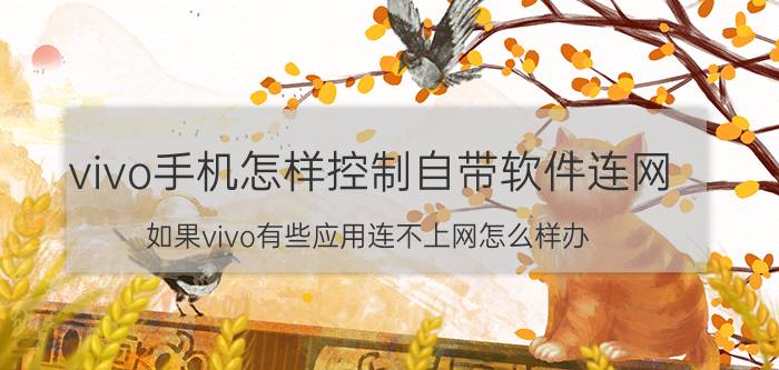 vivo手机怎样控制自带软件连网 如果vivo有些应用连不上网怎么样办？